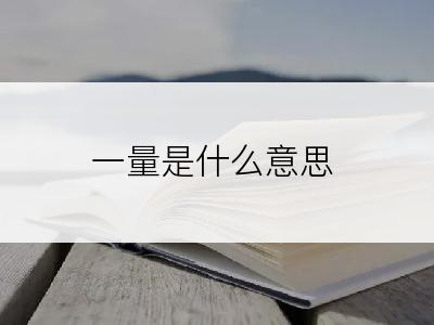 一量是什么意思