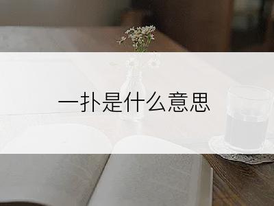 一扑是什么意思