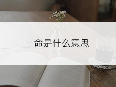 一命是什么意思