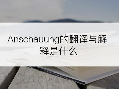 Anschauung的翻译与解释是什么