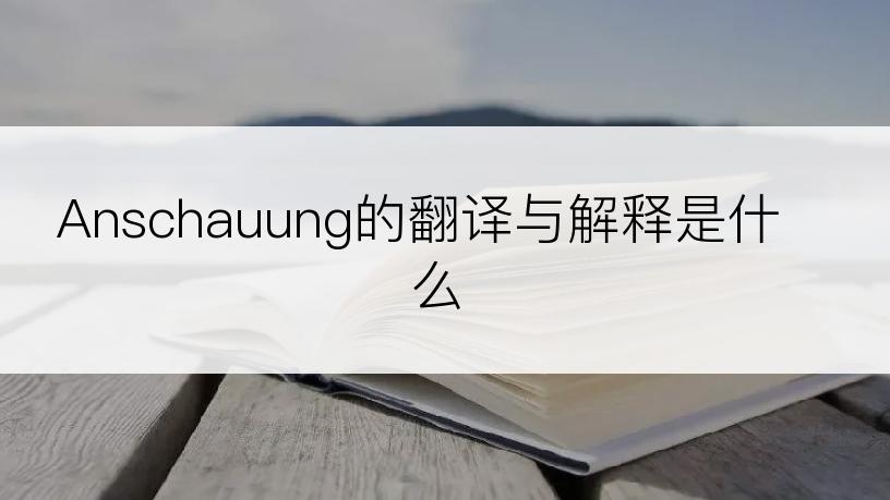 Anschauung的翻译与解释是什么