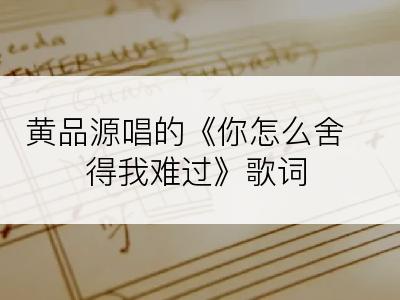 黄品源唱的《你怎么舍得我难过》歌词