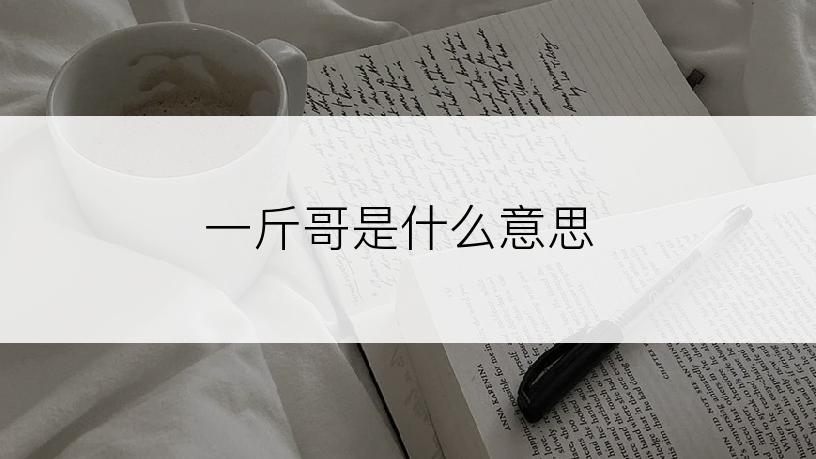 一斤哥是什么意思