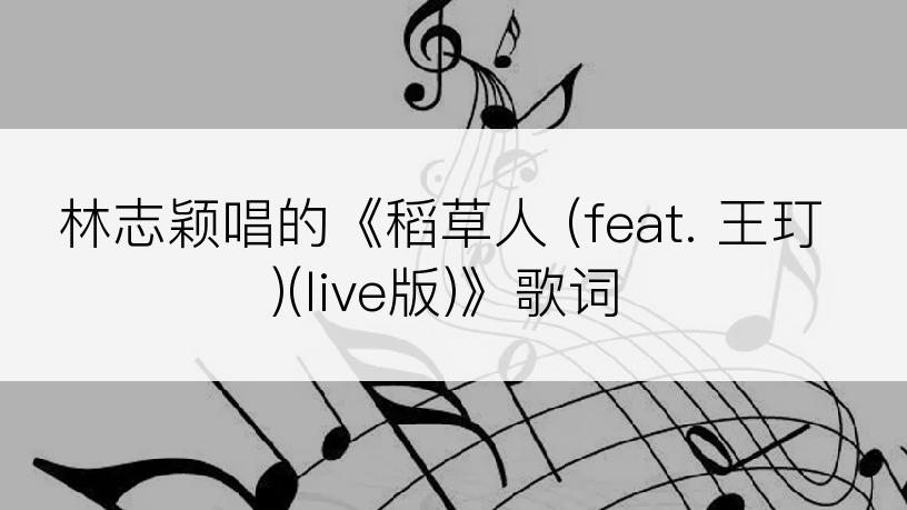 林志颖唱的《稻草人 (feat. 王玎)(live版)》歌词