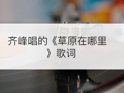 齐峰唱的《草原在哪里》歌词