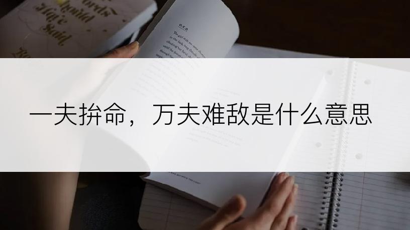 一夫拚命，万夫难敌是什么意思
