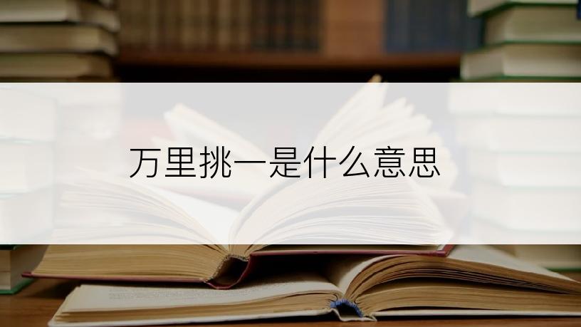万里挑一是什么意思