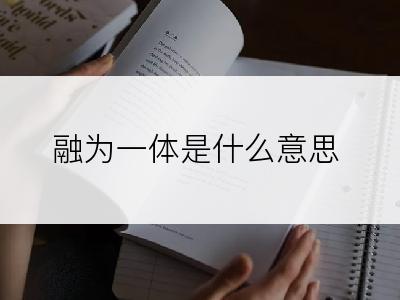 融为一体是什么意思