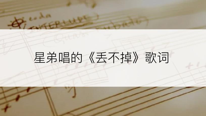 星弟唱的《丢不掉》歌词