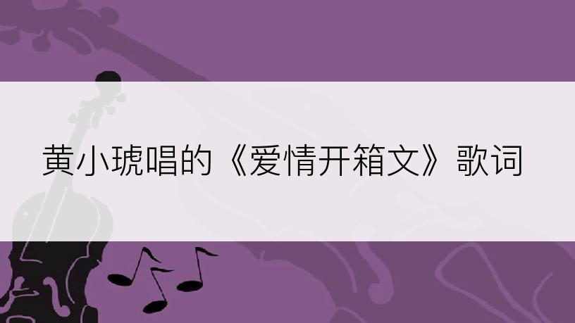 黄小琥唱的《爱情开箱文》歌词