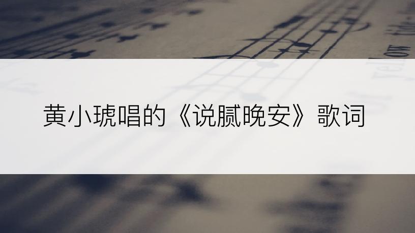 黄小琥唱的《说腻晚安》歌词