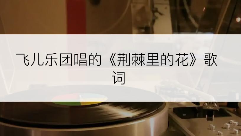 飞儿乐团唱的《荆棘里的花》歌词