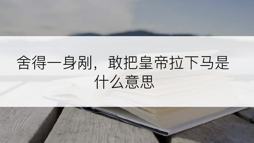 舍得一身剐，敢把皇帝拉下马是什么意思