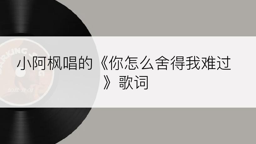小阿枫唱的《你怎么舍得我难过》歌词