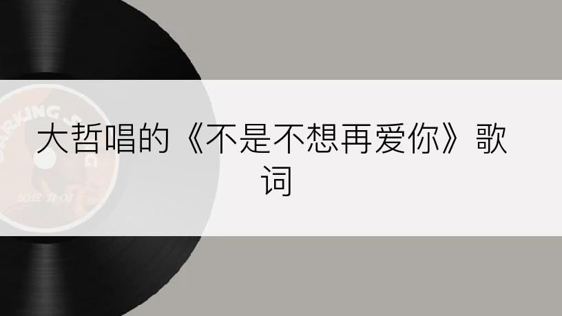 大哲唱的《不是不想再爱你》歌词