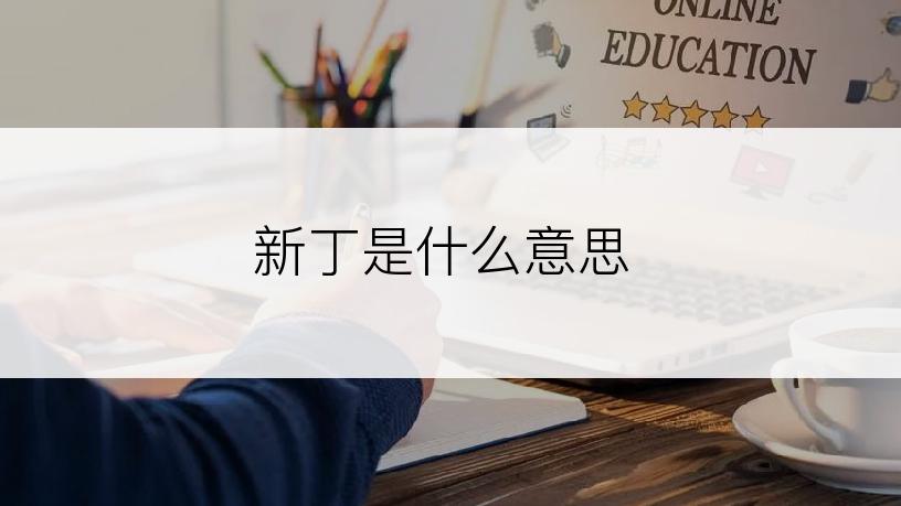 新丁是什么意思