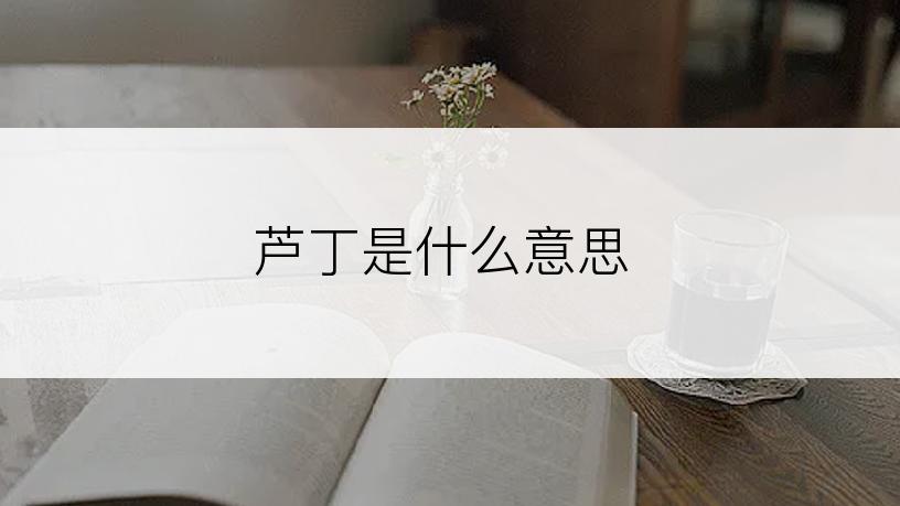 芦丁是什么意思