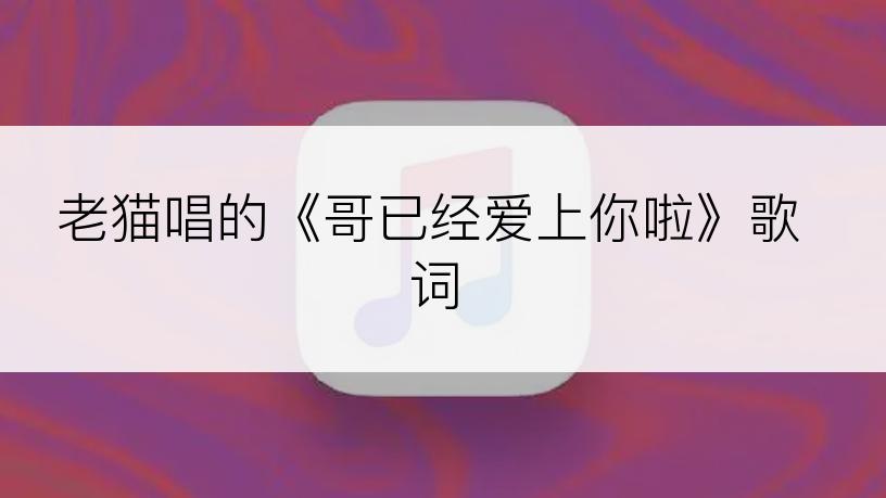 老猫唱的《哥已经爱上你啦》歌词