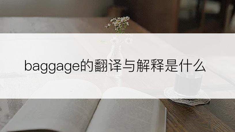 baggage的翻译与解释是什么