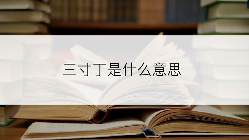 三寸丁是什么意思