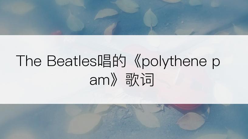 The Beatles唱的《polythene pam》歌词