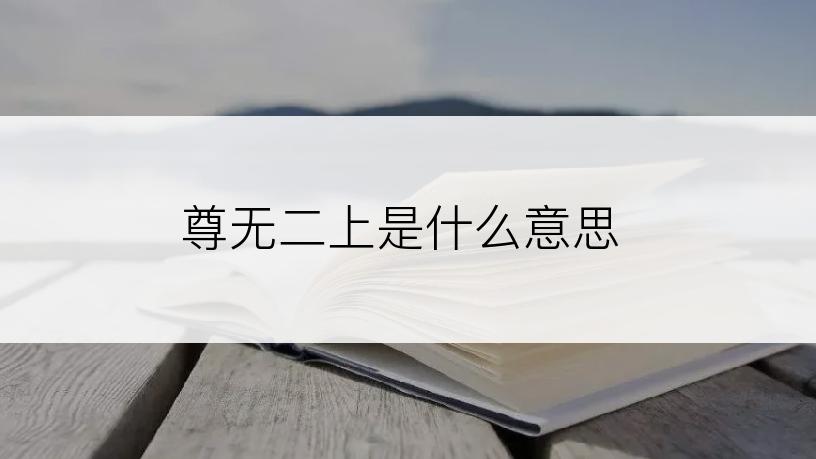 尊无二上是什么意思
