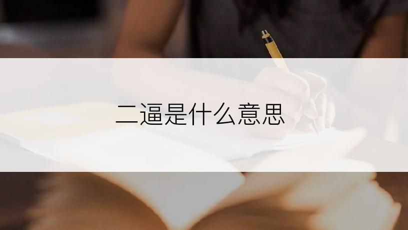 二逼是什么意思