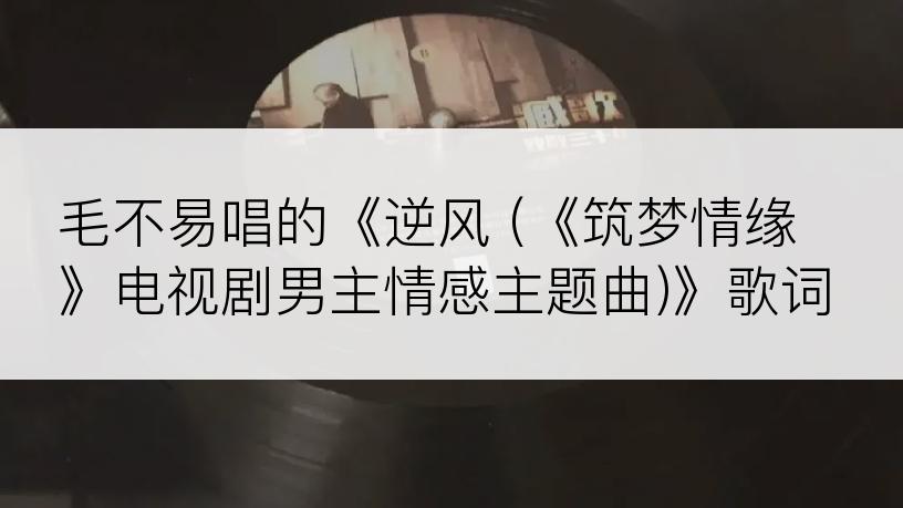 毛不易唱的《逆风 (《筑梦情缘》电视剧男主情感主题曲)》歌词