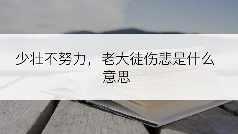 少壮不努力，老大徒伤悲是什么意思