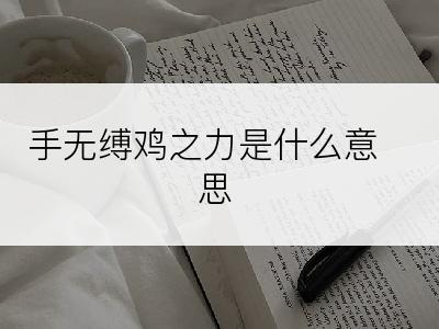 手无缚鸡之力是什么意思