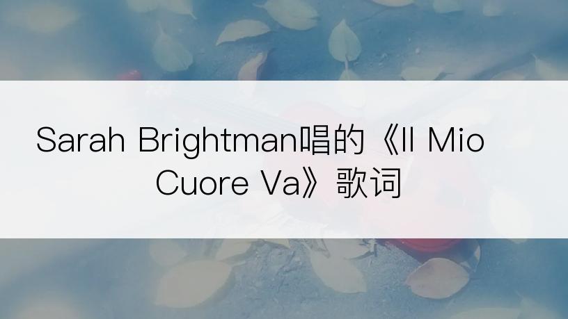 Sarah Brightman唱的《Il Mio Cuore Va》歌词