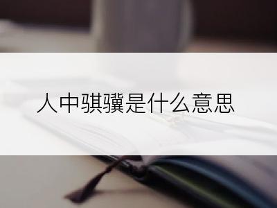 人中骐骥是什么意思