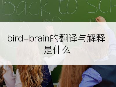 bird-brain的翻译与解释是什么
