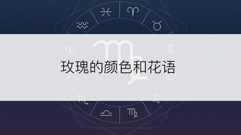 玫瑰的颜色和花语