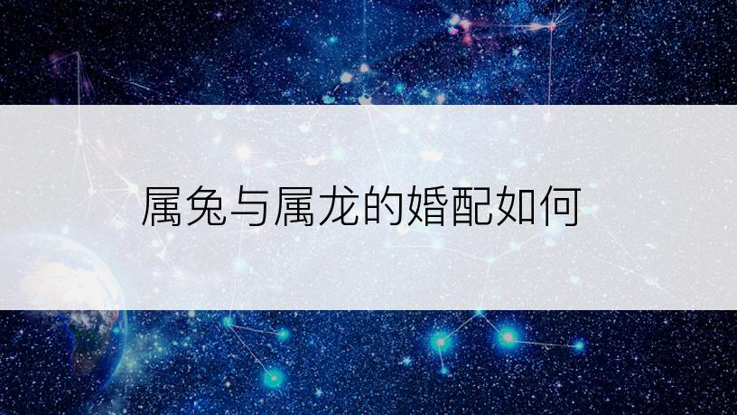 属兔与属龙的婚配如何