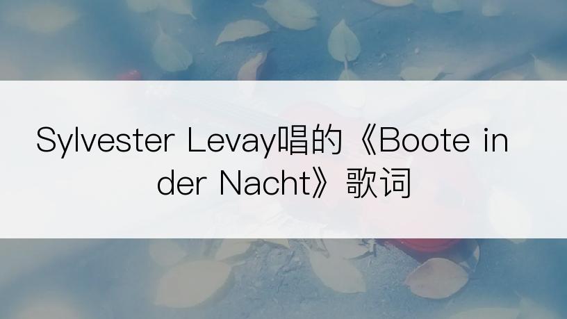 Sylvester Levay唱的《Boote in der Nacht》歌词