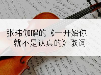 张玮伽唱的《一开始你就不是认真的》歌词