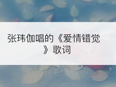 张玮伽唱的《爱情错觉》歌词
