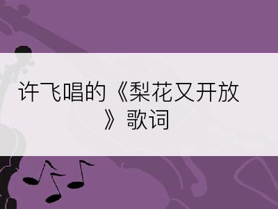 许飞唱的《梨花又开放》歌词