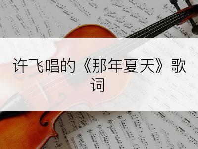 许飞唱的《那年夏天》歌词