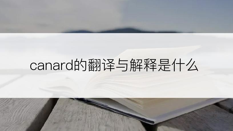 canard的翻译与解释是什么