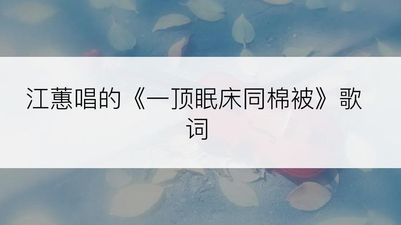江蕙唱的《一顶眠床同棉被》歌词