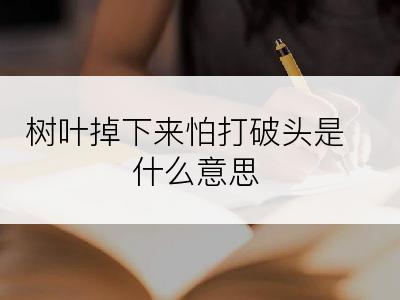 树叶掉下来怕打破头是什么意思