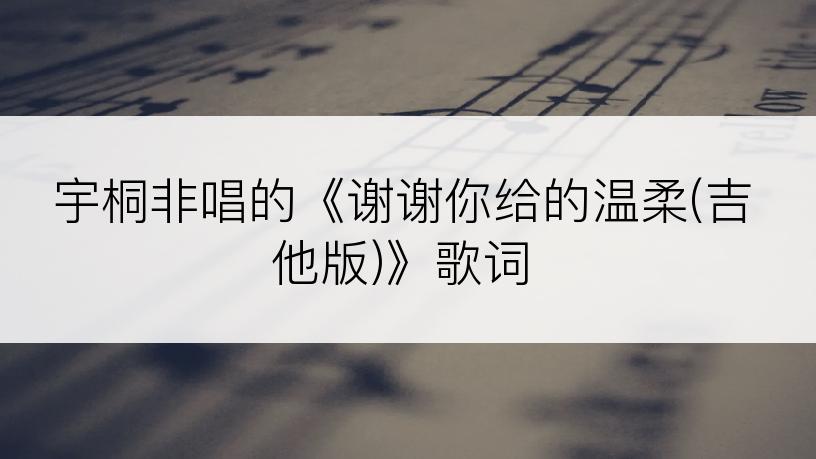 宇桐非唱的《谢谢你给的温柔(吉他版)》歌词