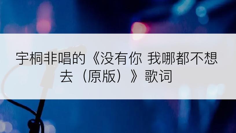 宇桐非唱的《没有你 我哪都不想去（原版）》歌词