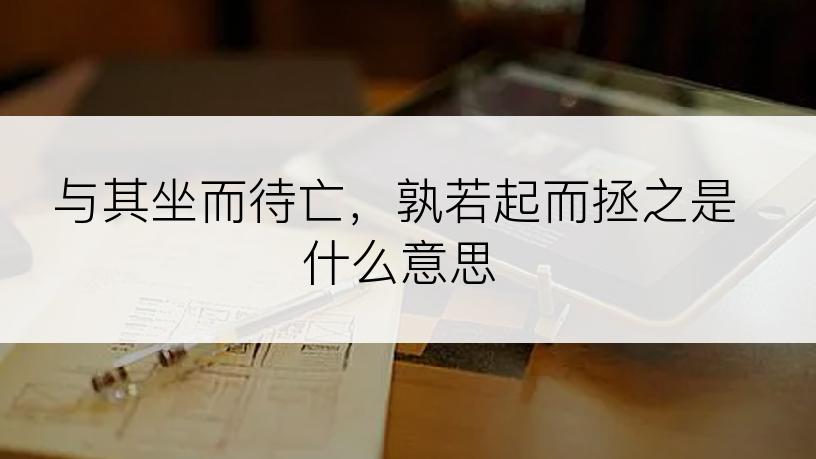 与其坐而待亡，孰若起而拯之是什么意思