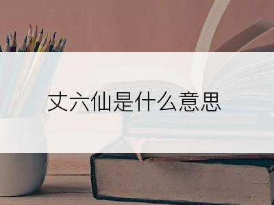 丈六仙是什么意思