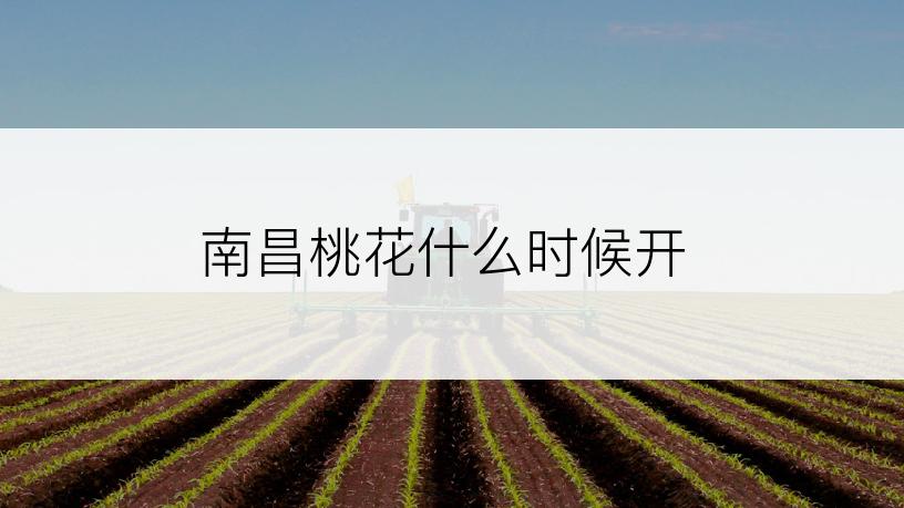 南昌桃花什么时候开