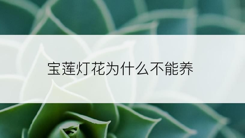 宝莲灯花为什么不能养