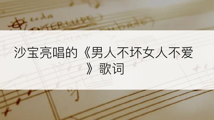沙宝亮唱的《男人不坏女人不爱》歌词